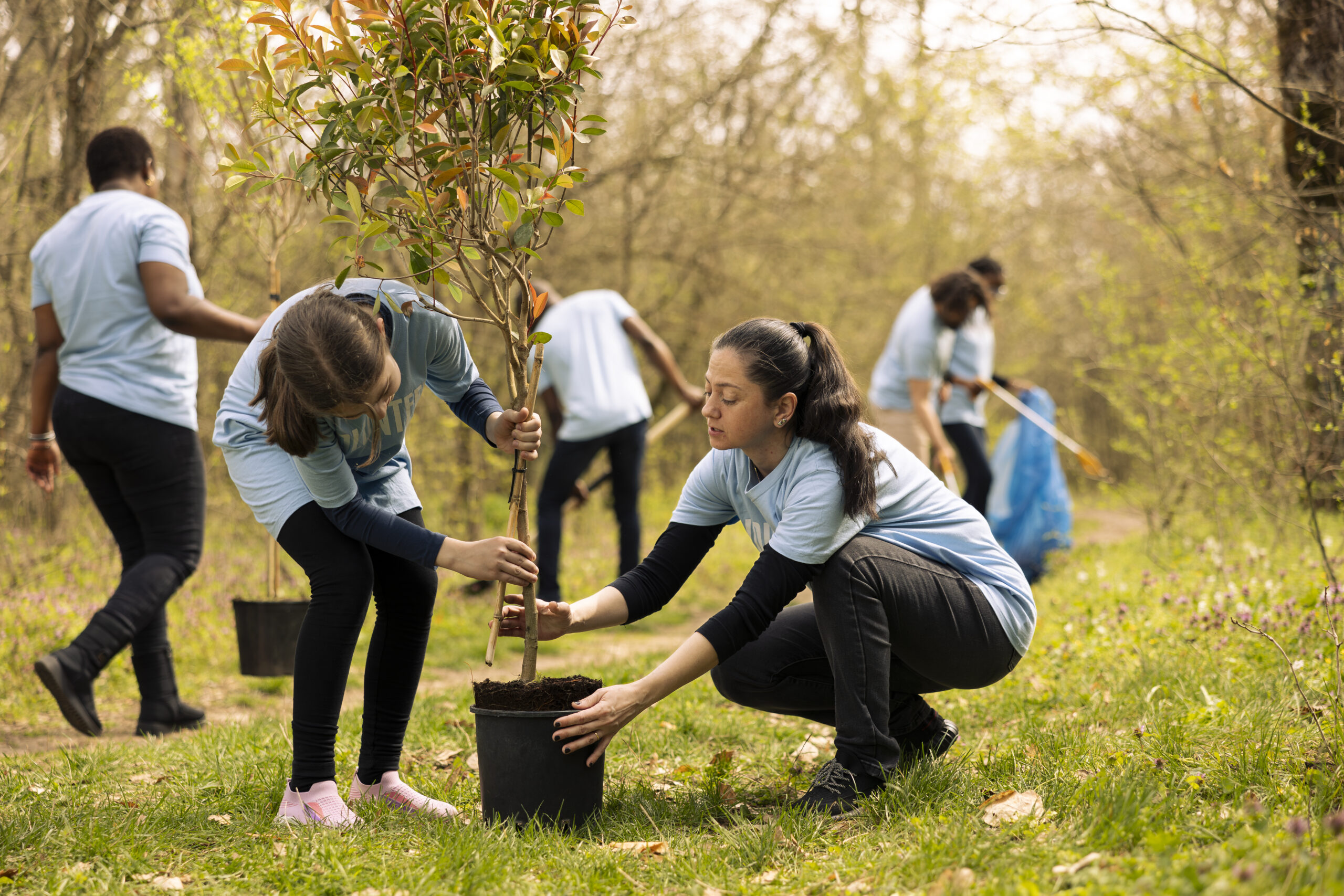 Mother and daughter preparing to plant a tree in the woods, volunteering to help with nature conservation and reforestation. Activists offering service to fight for environmental protection.
